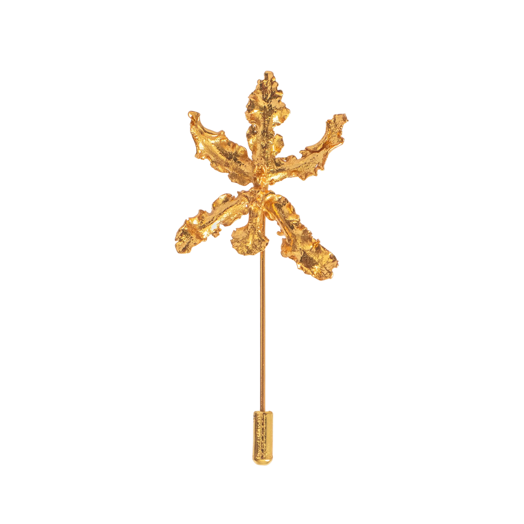 Broche Orquidea Cyrtochillum