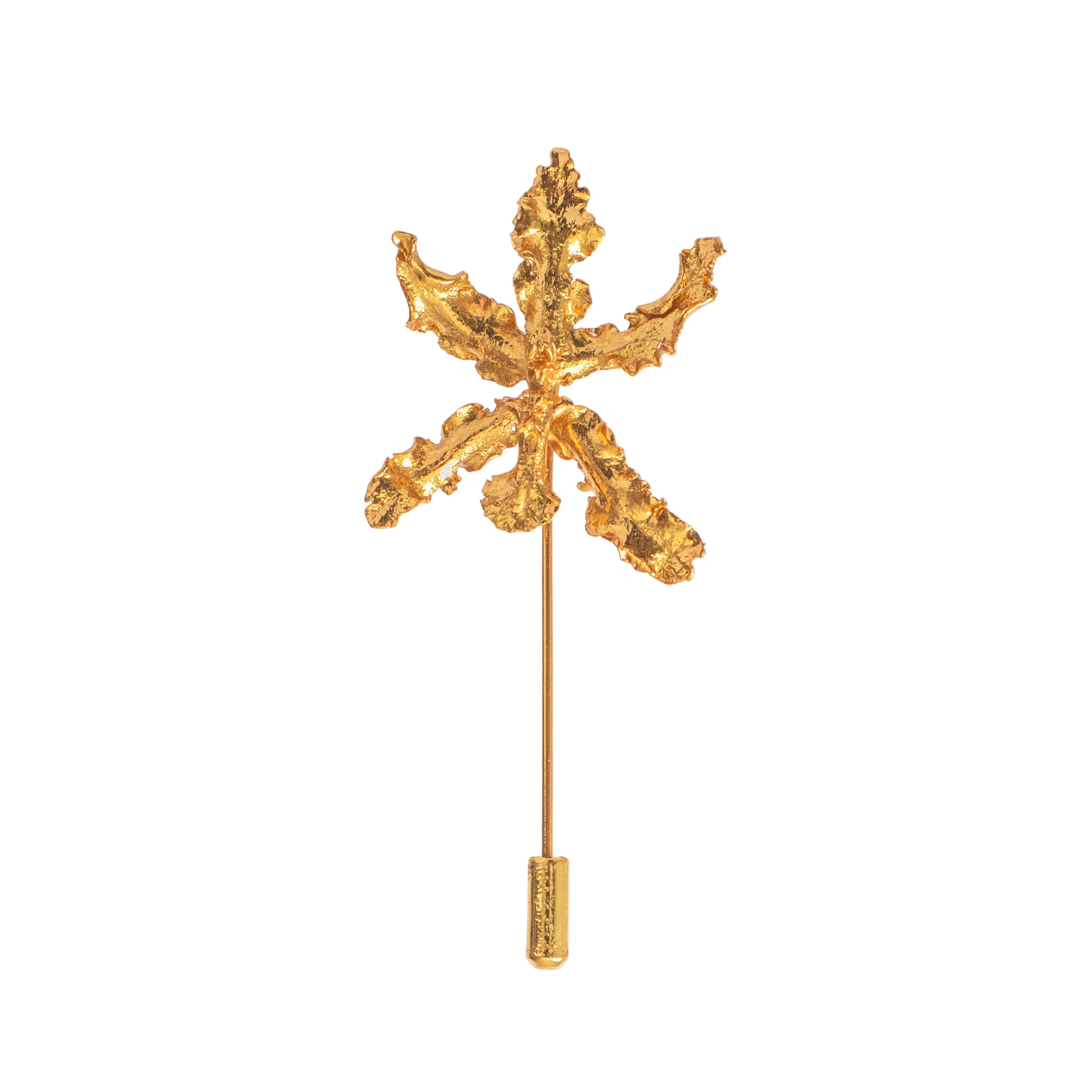 Broche Orquidea Cyrtochillum