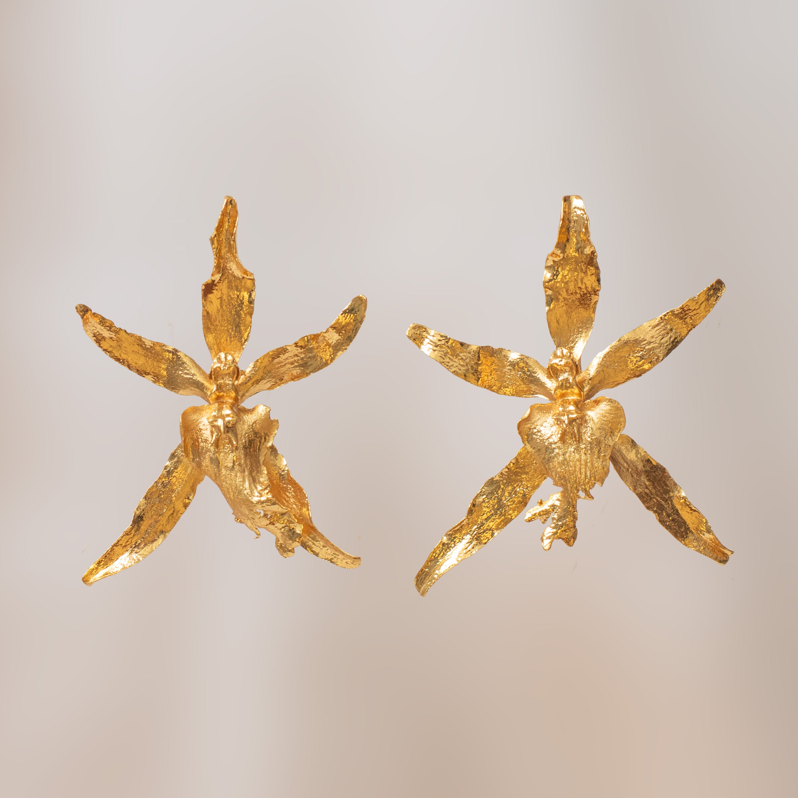 Aretes Topo Orquidea Brassia
