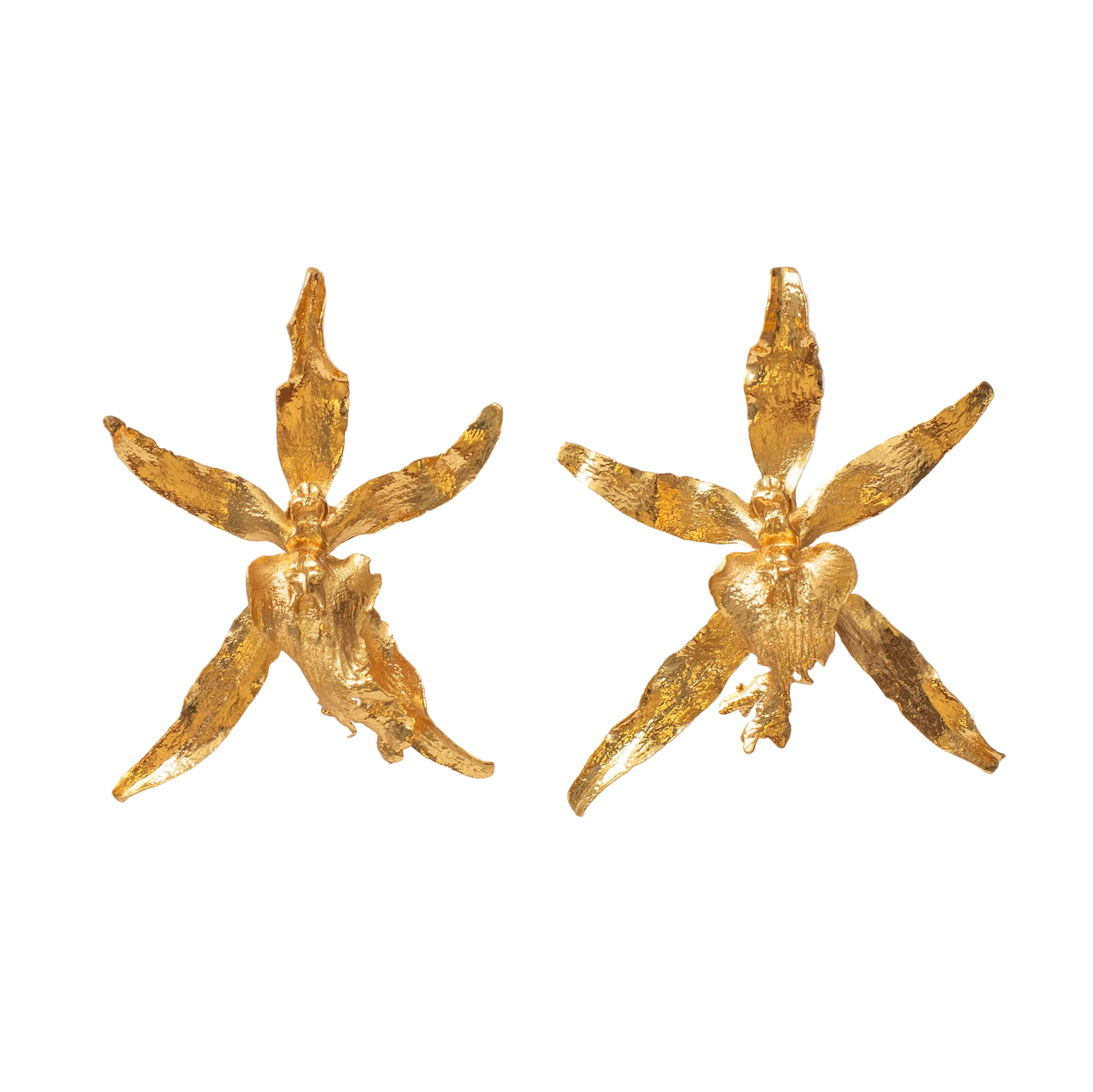 Aretes Topo Orquidea Brassia