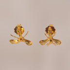 Aretes Topo Orquidea Epidendrum Capricornu