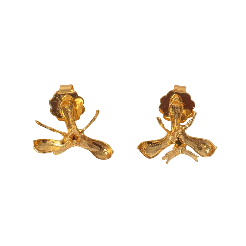 Aretes Topo Orquidea Epidendrum Capricornu