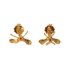 Aretes Topo Orquidea Epidendrum Capricornu