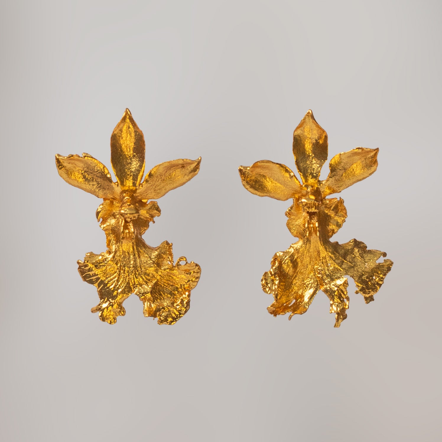 Aretes dorados con forma de orquídea Caucaea, mostrando su labelo ancho y textura delicada similar a un encaje natural.