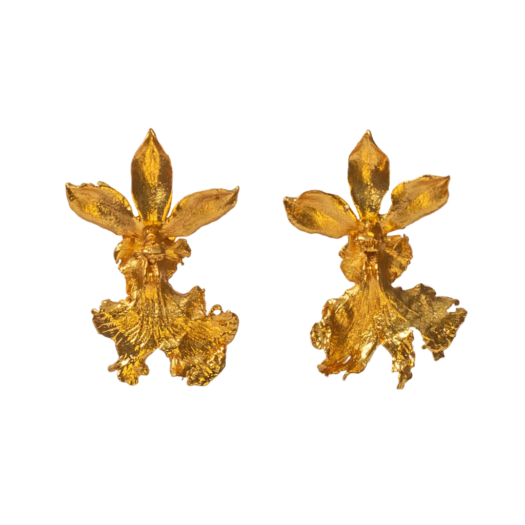 Aretes Topo Orquidea Caucaea
