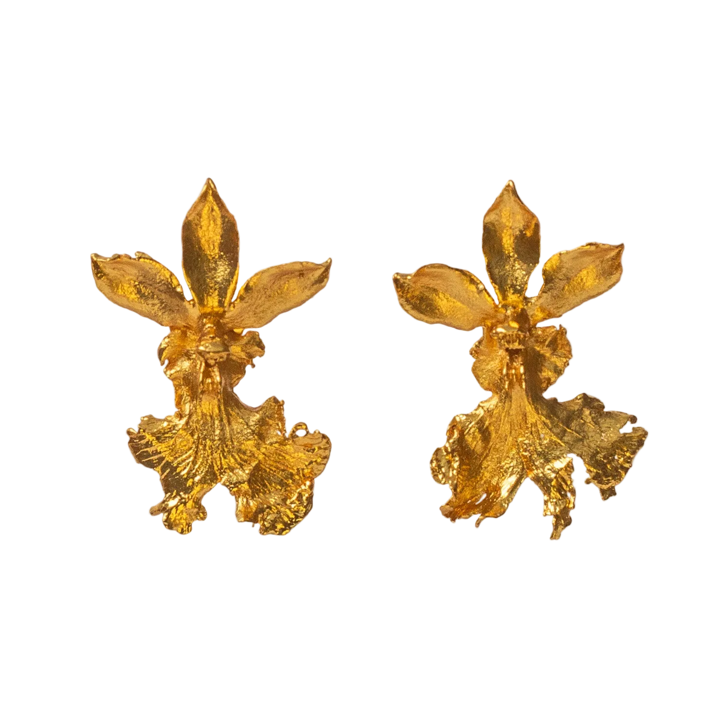 Aretes Topo Orquidea Caucaea