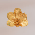 Anillo Orquidea Phalaenopsis Sauco Esmeralda