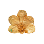 Anillo Orquidea Phalaenopsis Sauco Esmeralda