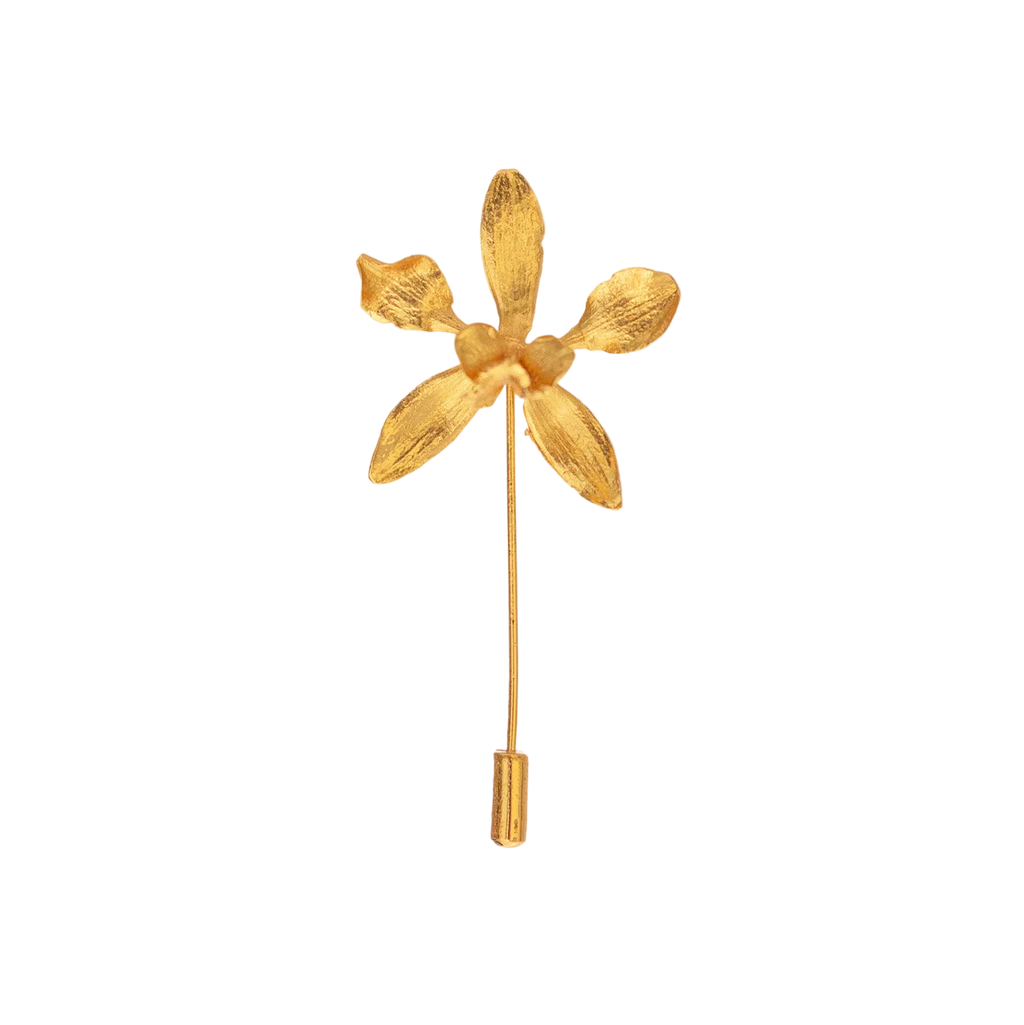 Broche Orquidea Encyclia Oncidioides