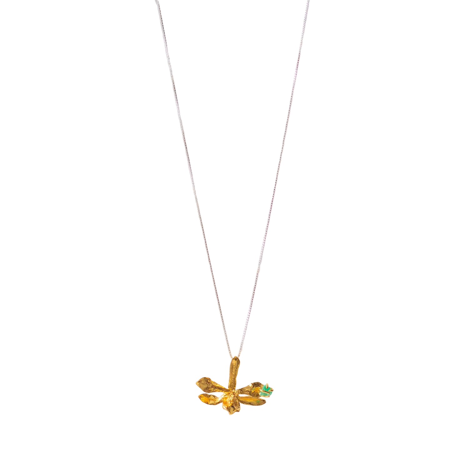 Gargantilla Orquídea Prosthechea Sceptra