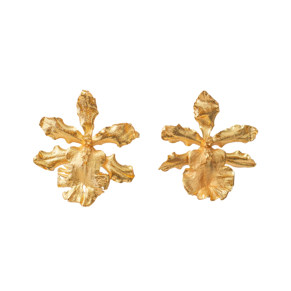 Aretes Orquidea Odontoglossum Exótica