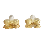 Aretes de orquídea Phalaenopsis baby real inmortalizada con fundición orgánica directa, degradé plata ecológica a oro 24k — joyería botánica Colombia
