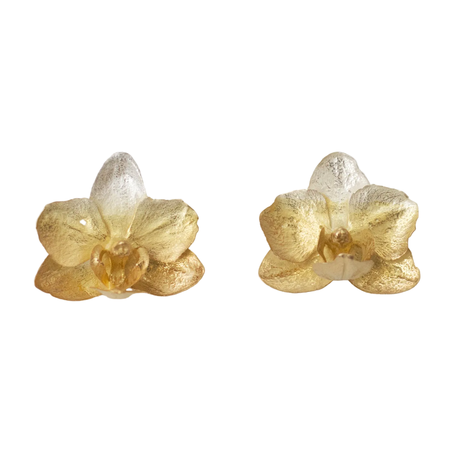 Aretes de orquídea Phalaenopsis baby real inmortalizada con fundición orgánica directa, degradé plata ecológica a oro 24k — joyería botánica Colombia
