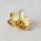 Anillo Orquidea Phalaenopsis Baby Hibrida Plata Eco Degradé Oro 24k