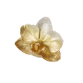 Anillo Orquidea Phalaenopsis Baby Hibrida Plata Eco Degradé Oro 24k
