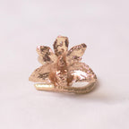 Anillo Orquidea Maxilaria
