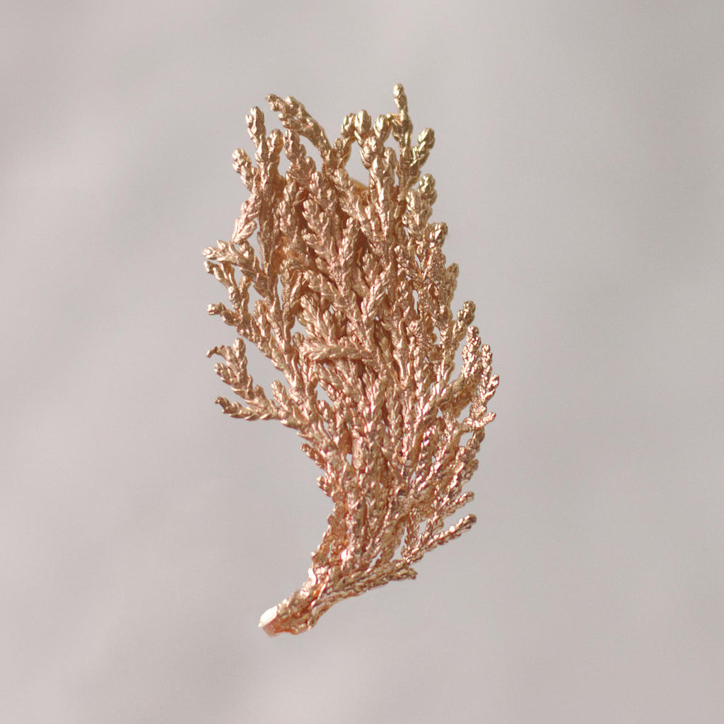 Broche Pin Hoja de Pino