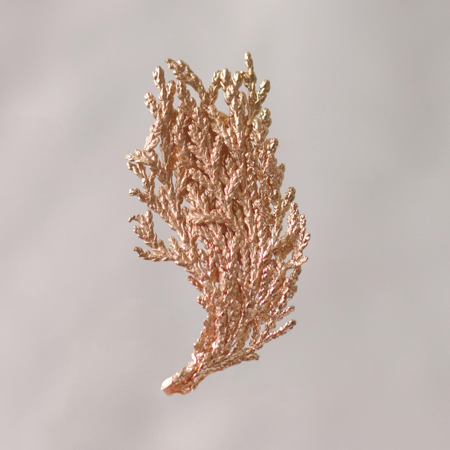 Broche Pin Hoja de Pino