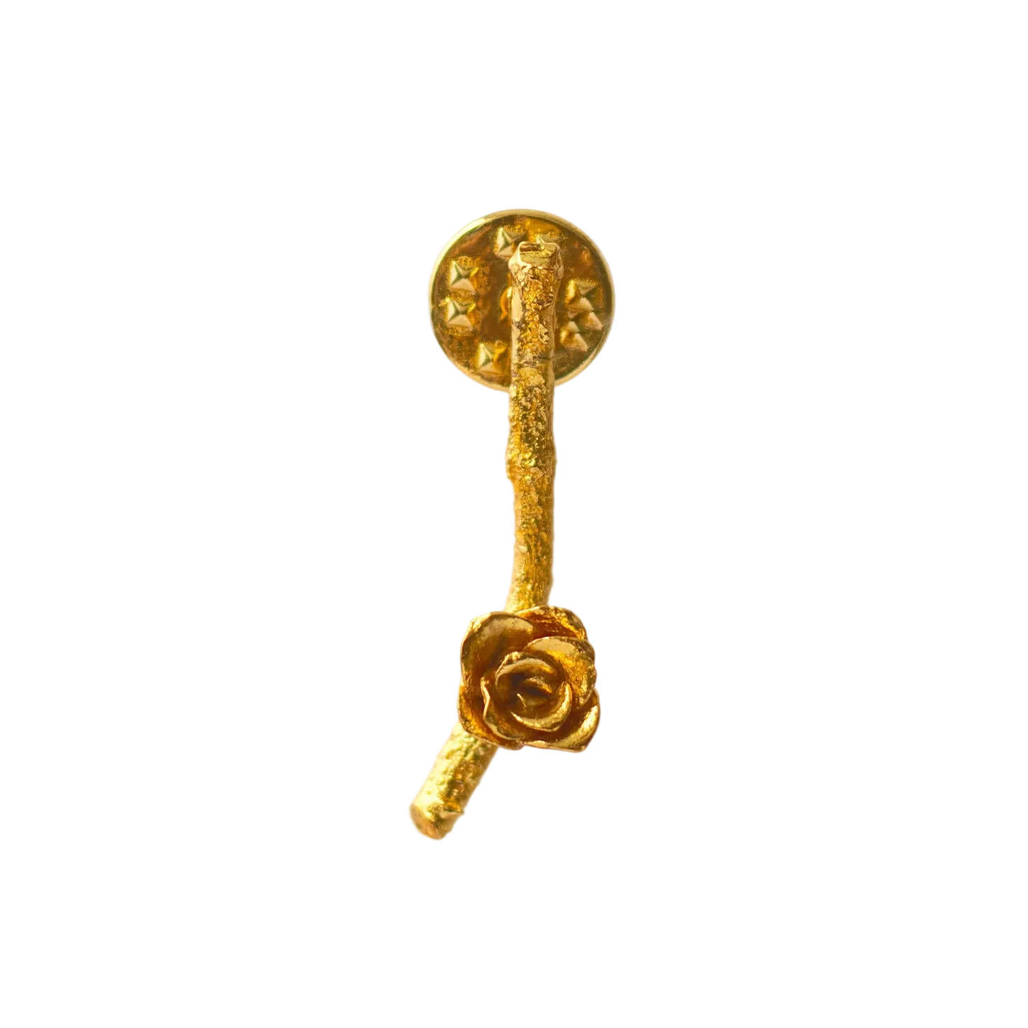 Broche Ramita Flor Suculenta