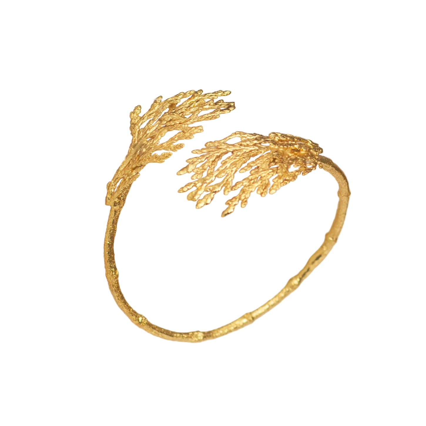 Brazalete Dos Hojas Pino