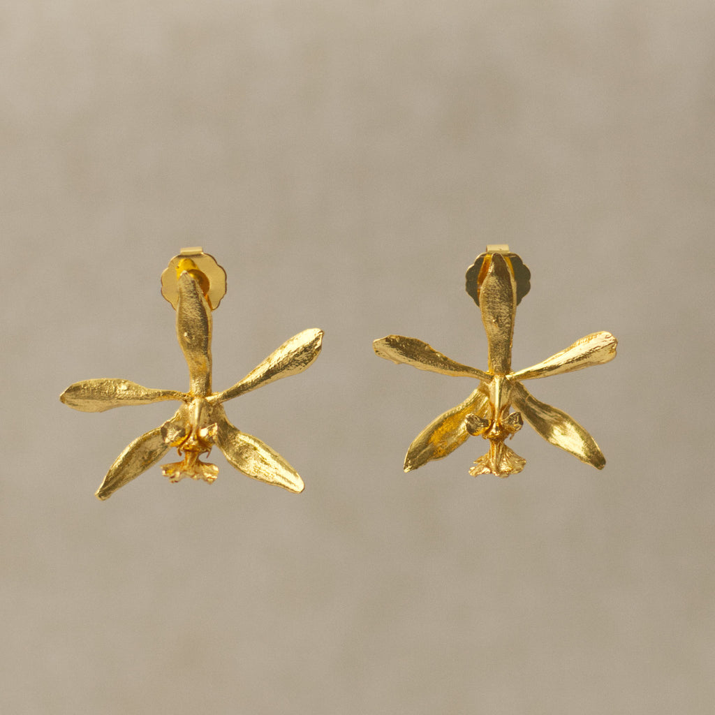 Aretes Topo Orquidea Encyclia Oncidioides
