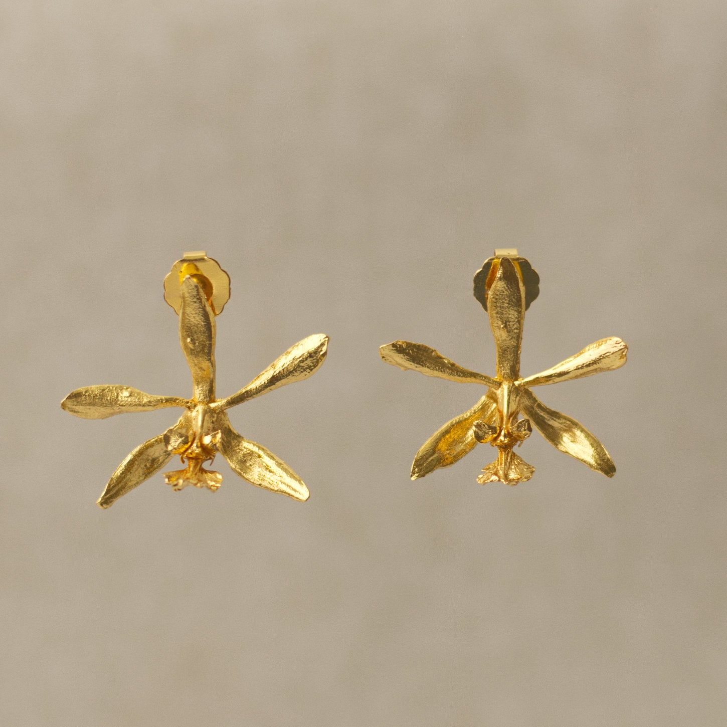 Aretes Topo Orquidea Encyclia Oncidioides