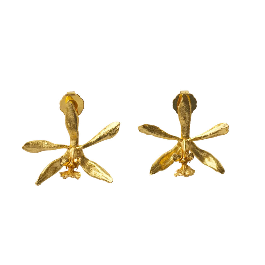 Aretes topo de orquídea Encyclia oncidioides en bronce con baño de oro 24k, flor silvestre colombiana — joyería botánica artesanal Colombia
