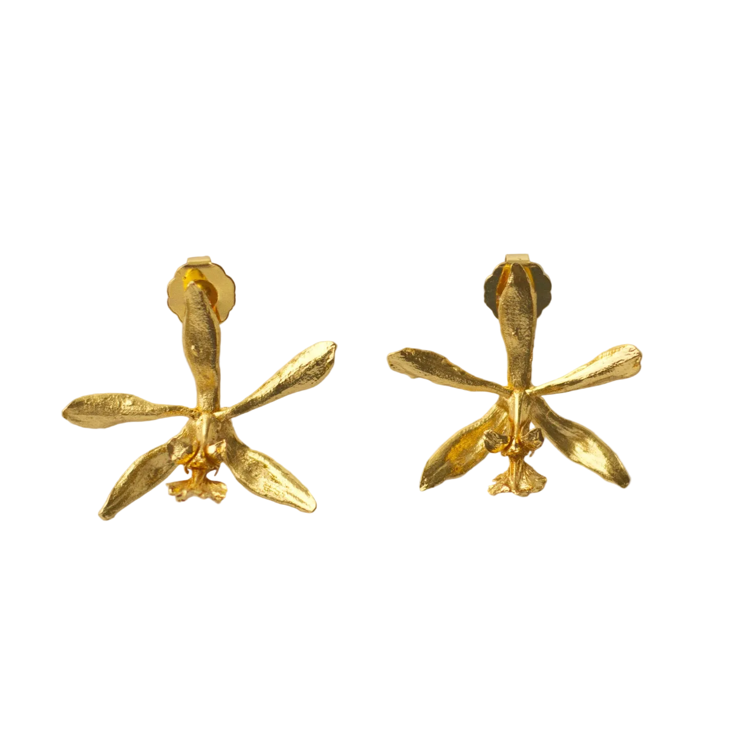 Aretes topo de orquídea Encyclia oncidioides en bronce con baño de oro 24k, flor silvestre colombiana — joyería botánica artesanal Colombia
