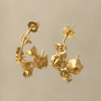 Aretes Candonga Ramita Soleirolia