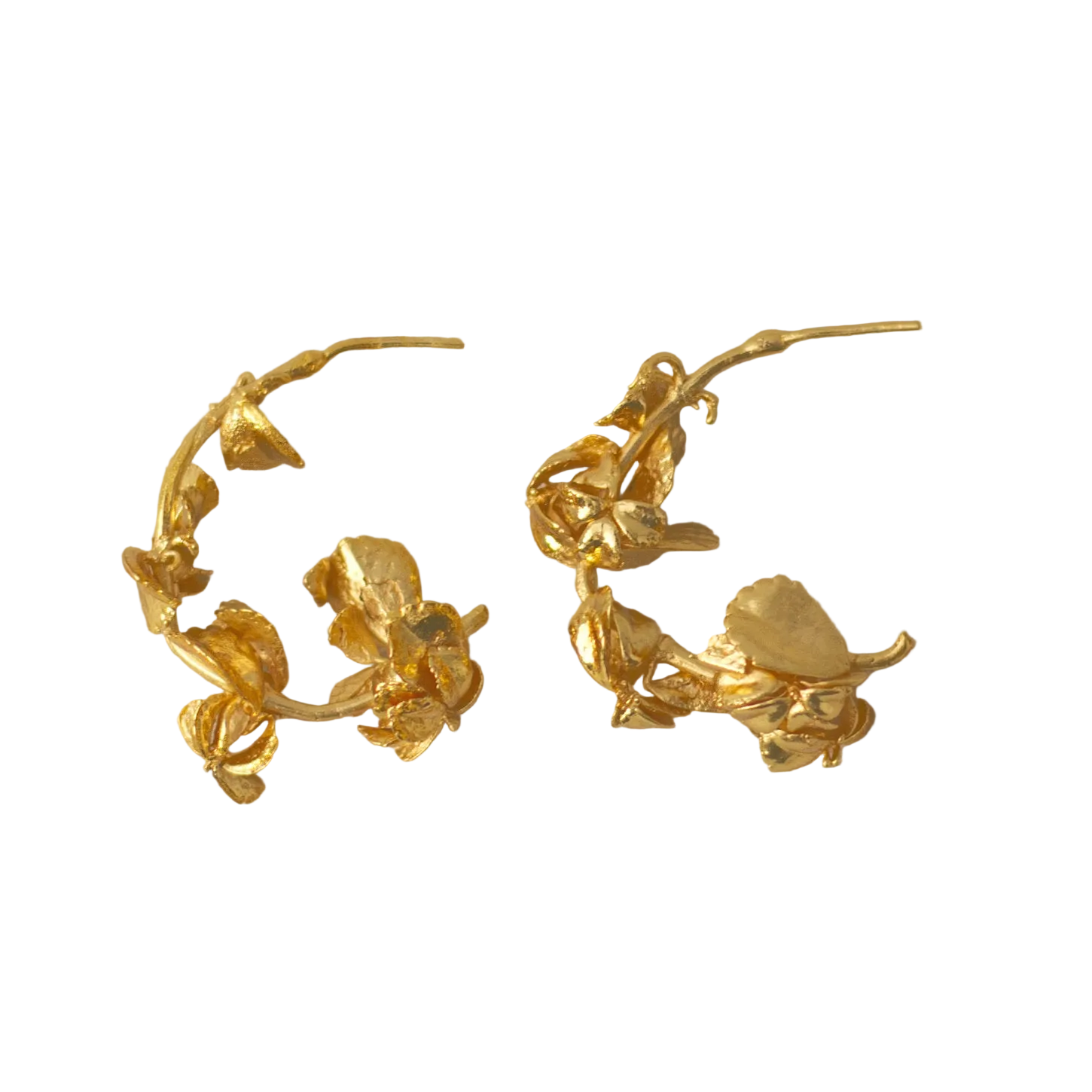 Aretes Candonga Ramita Soleirolia
