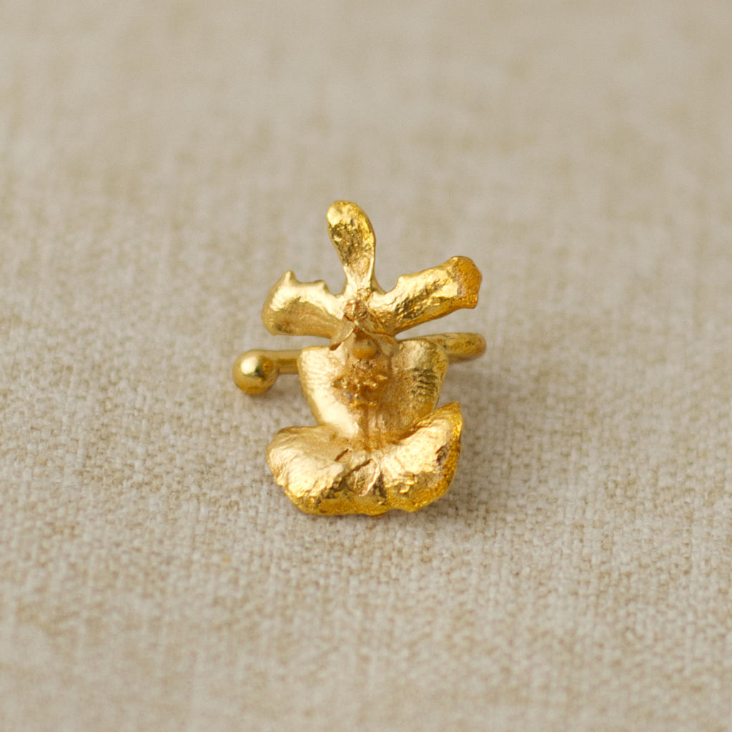 Earcuff Orquidea Tolumnia