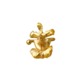 Earcuff Orquidea Tolumnia