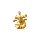 Earcuff Orquidea Tolumnia
