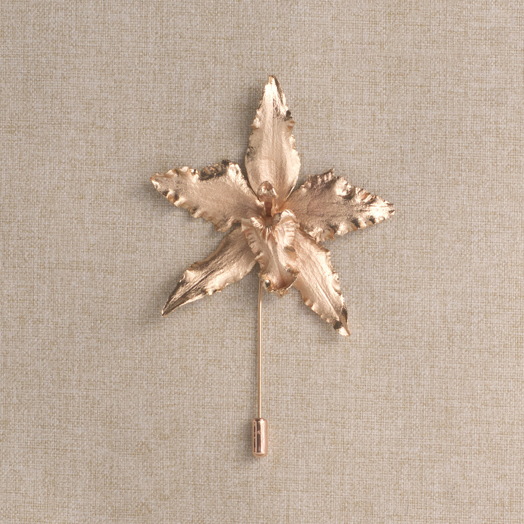 Broche Orquidea Crispum