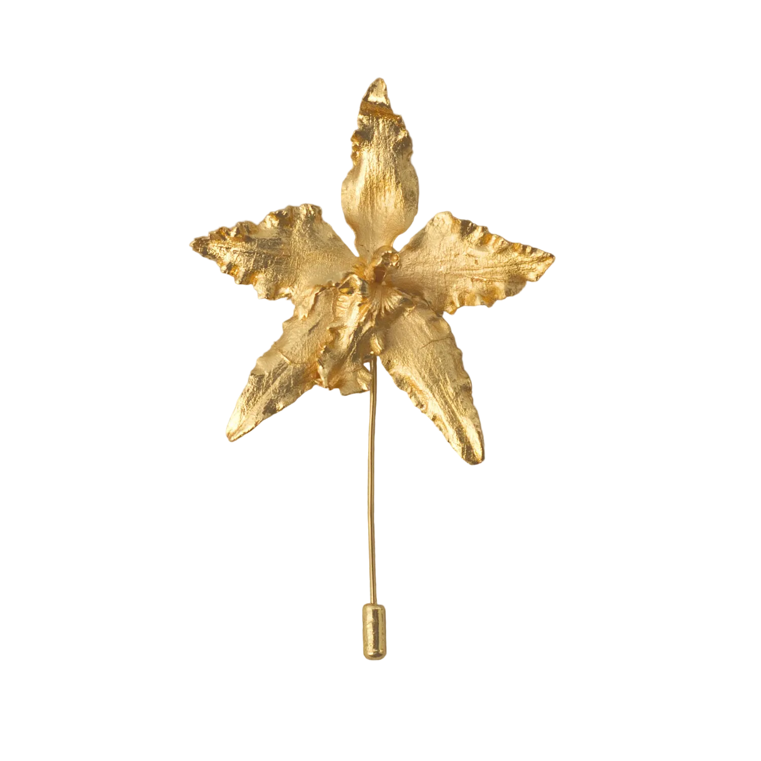Broche Orquidea Crispum