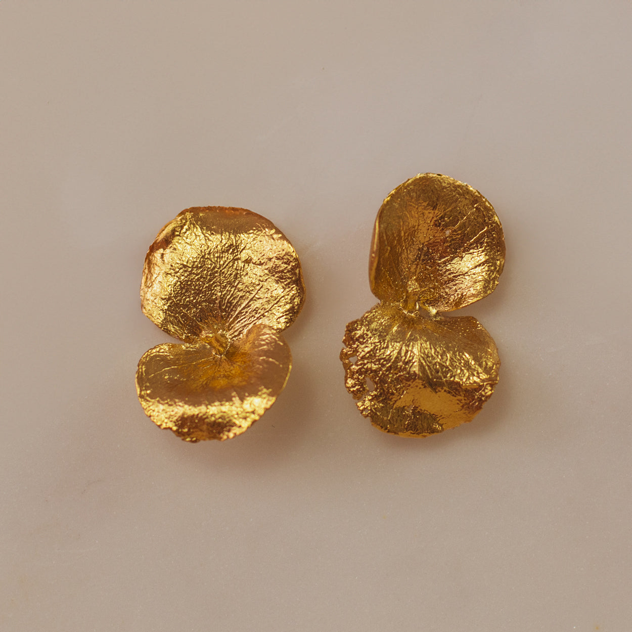 Aretes Topo Eucaliptos en bronce bañado en oro de 24k, destacando la forma única y natural de las hojas de eucalipto de nuestro jardín