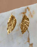 Aretes Topo Hoja Cúcuta en bronce bañado en oro de 24k, destacando la delicadeza y la forma única de las hojas naturales