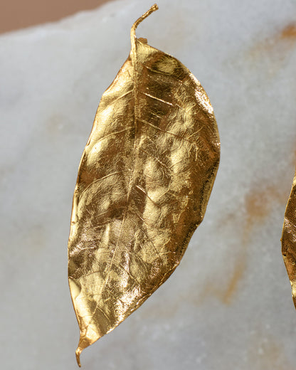 Aretes Topo Hoja Cúcuta en bronce bañado en oro de 24k, destacando la delicadeza y la forma única de las hojas naturales