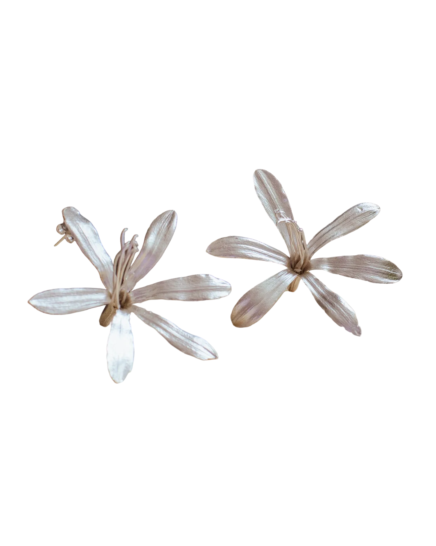 Aretes Topo Lirio Agapanto Plata Ecológica