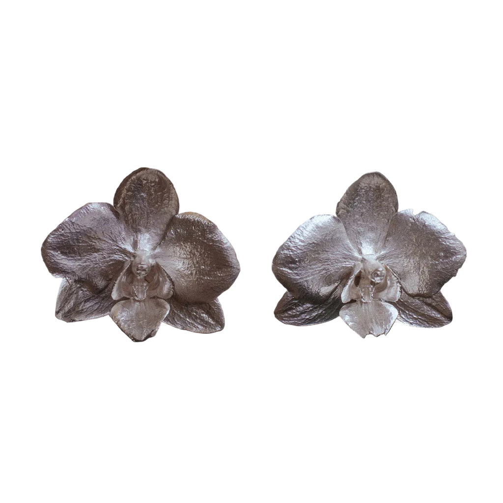 Aretes Orquidea Phalaenopsis Mediana Plata Ecológica