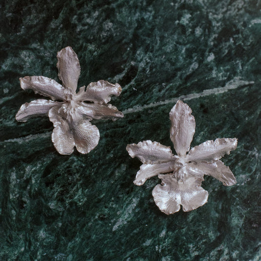 Aretes en plata de flor de orquidea odontoglossum natural inmortalizada, orquideas en plata ecologica