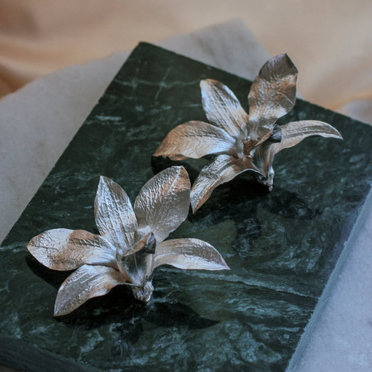 Aretes en flores de Orquidea Dendrobium natural inmortalizada en Plata Ecologica