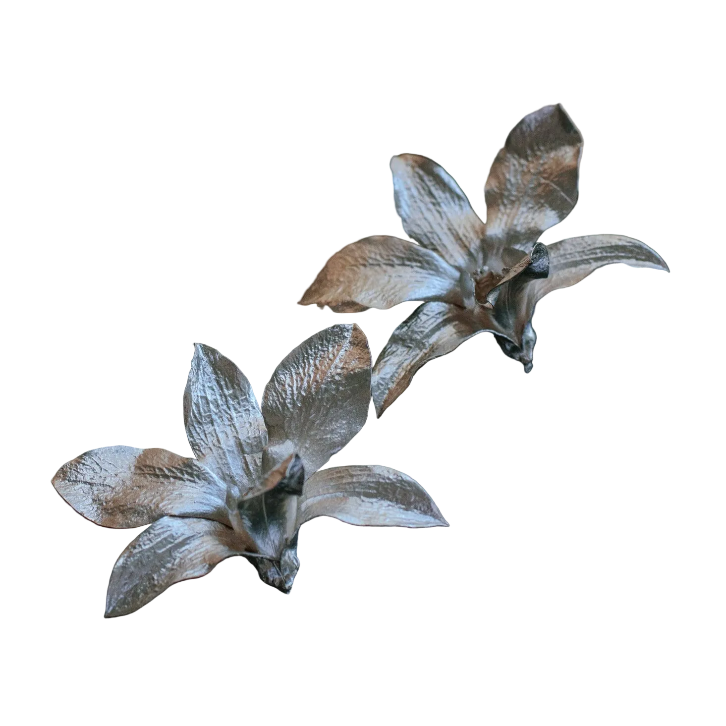 Aretes Orquidea Dendrobium Plata Ecologica