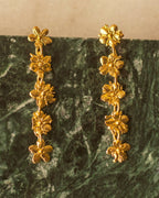 Aretes Topo Cinco Saucos, Primavera Eterna