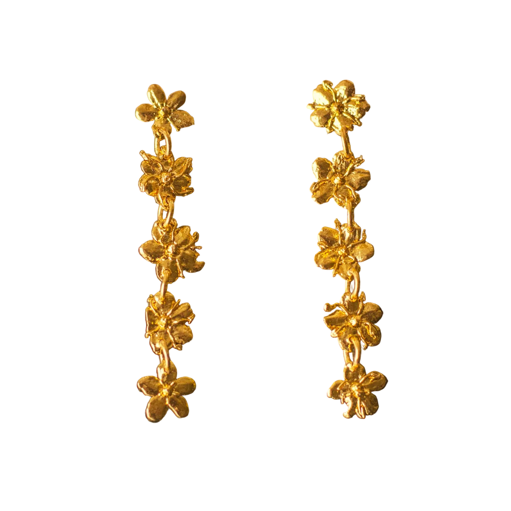 Aretes Topo Cinco Saucos, Primavera Eterna