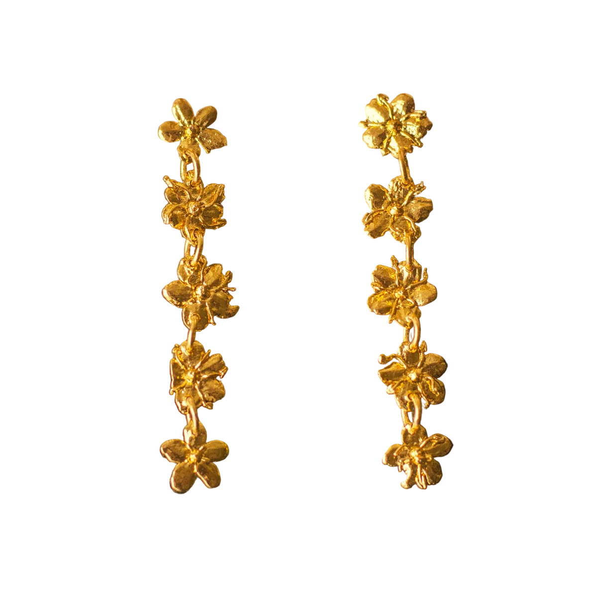 Aretes Topo Cinco Saucos, Primavera Eterna