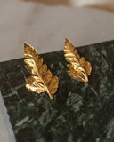 Aretes Topo Helecho Mediano
