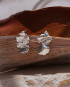 Aretes Topo Eucalipto Plata Ecológica, mostrando la delicada textura y forma de las hojas de eucalipto natural preservadas en metal reciclado
