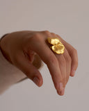 Anillo Eucalipto Inmortalizado