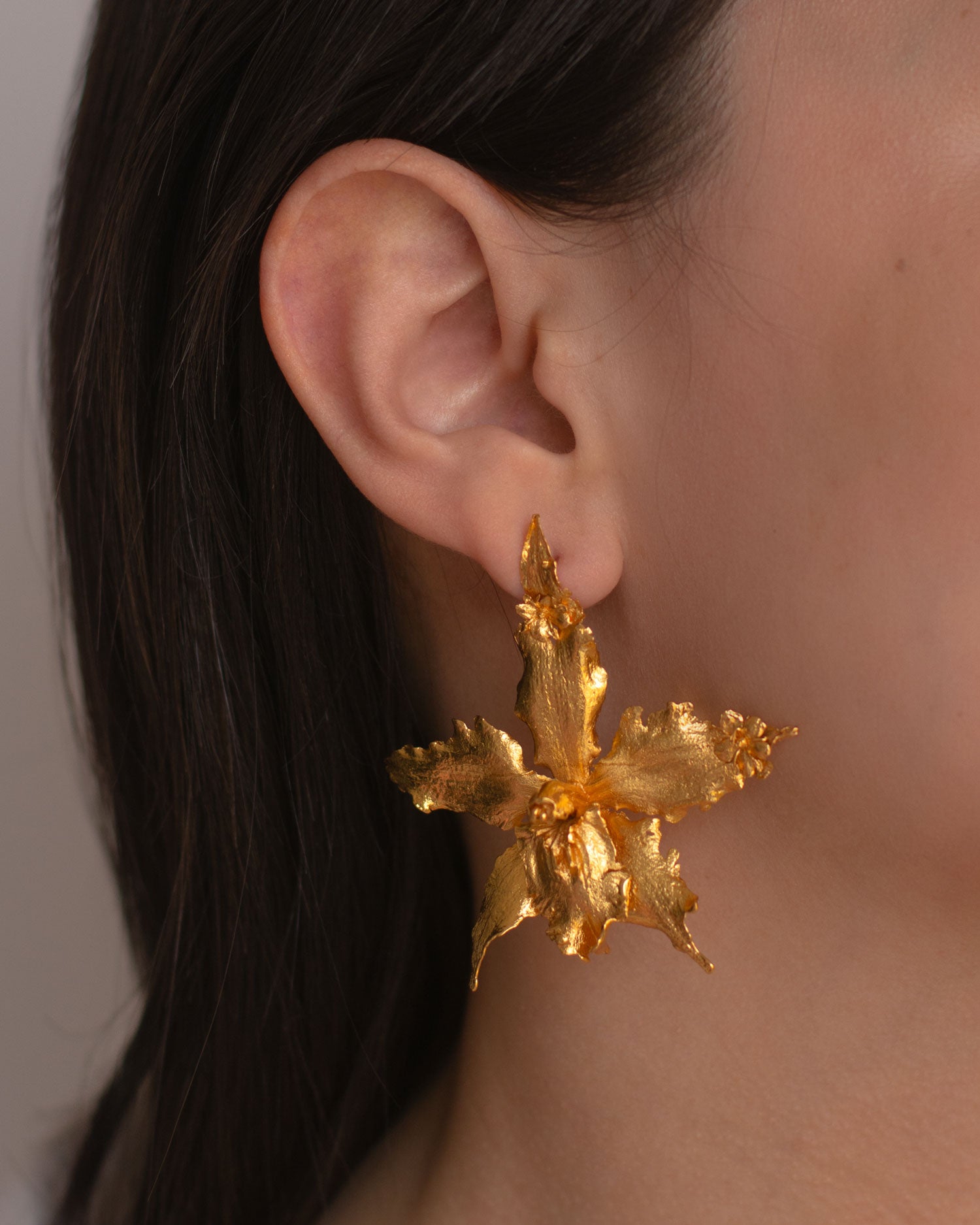 Modelo con Aretes Orquidea Crispum natural inmortalizado en bronce con detalles de flor de sauco